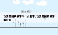 攻击美国的黑客叫什么名字_攻击美国的黑客叫什么