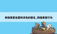 网络黑客犯罪所涉及的罪名_网络黑客行为