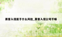 黑客入侵属于什么风险_黑客入侵公司干嘛