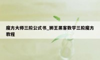 魔方大师三阶公式书_狮王黑客数学三阶魔方教程