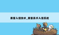 黑客入侵技术_黑客高手入侵系统