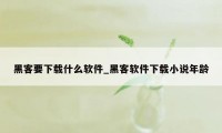 黑客要下载什么软件_黑客软件下载小说年龄