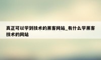 真正可以学到技术的黑客网站_有什么学黑客技术的网站