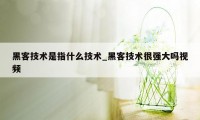 黑客技术是指什么技术_黑客技术很强大吗视频