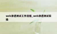 web渗透测试工作流程_web渗透测试实操