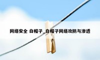 网络安全 白帽子_白帽子网络攻防与渗透