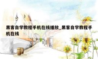 黑客自学教程手机在线播放_黑客自学教程手机在线