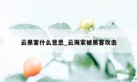 云黑客什么意思_云海家被黑客攻击