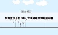 黑客查信息犯法吗_专业网络黑客婚前调查