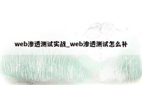 web渗透测试实战_web渗透测试怎么补