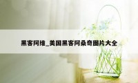 黑客阿维_美国黑客阿桑奇图片大全