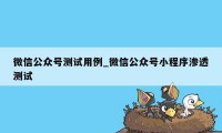 微信公众号测试用例_微信公众号小程序渗透测试