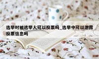 选举时被选举人可以投票吗_选举中可以泄露投票信息吗