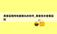 黑客监视所有摄像头的软件_黑客技术查看监控