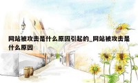 网站被攻击是什么原因引起的_网站被攻击是什么原因