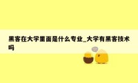 黑客在大学里面是什么专业_大学有黑客技术吗