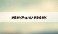 渗透测试flag_输入表渗透测试