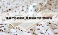 黑客攻击的漏洞_黑客漏洞攻击视频网站