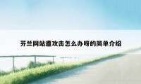 芬兰网站遭攻击怎么办呀的简单介绍