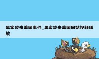 黑客攻击美国事件_黑客攻击美国网站视频播放