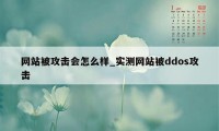 网站被攻击会怎么样_实测网站被ddos攻击