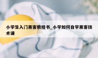 小学生入门黑客教程书_小学如何自学黑客技术课