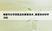 哪里可以学到真正的黑客技术_黑客技术好学习吗