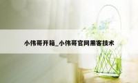 小伟哥开箱_小伟哥官网黑客技术