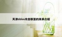 天津ddos攻击联盟的简单介绍