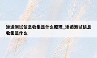 渗透测试信息收集是什么原理_渗透测试信息收集是什么