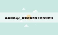 黑客游戏app_黑客游戏怎样下载视频教程