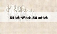 黑客头像 代码大全_黑客攻击头像