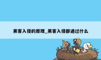 黑客入侵的原理_黑客入侵都通过什么