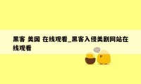 黑客 美国 在线观看_黑客入侵美剧网站在线观看