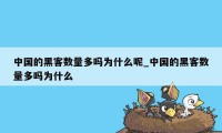 中国的黑客数量多吗为什么呢_中国的黑客数量多吗为什么