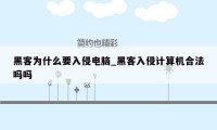 黑客为什么要入侵电脑_黑客入侵计算机合法吗吗