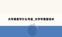 大学黑客学什么专业_大学学黑客技术