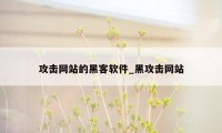 攻击网站的黑客软件_黑攻击网站