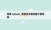 黑客 iphone_黑客技术解析图下载苹果