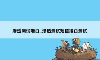 渗透测试端口_渗透测试短信接口测试