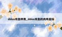 ddos攻击种类_ddos攻击的肉鸡目标