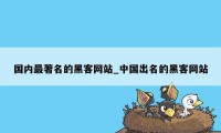 国内最著名的黑客网站_中国出名的黑客网站