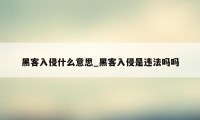 黑客入侵什么意思_黑客入侵是违法吗吗