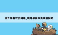 境外黑客攻击网络_境外黑客攻击政府网站