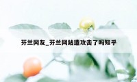 芬兰网友_芬兰网站遭攻击了吗知乎