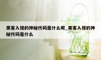 黑客入侵的神秘代码是什么呢_黑客入侵的神秘代码是什么