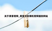 关于黑客视频_黑客攻击裸机视频播放网站