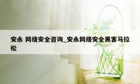 安永 网络安全咨询_安永网络安全黑客马拉松