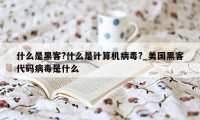 什么是黑客?什么是计算机病毒?_美国黑客代码病毒是什么