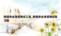 网络安全渗透测试工具_网络安全渗透测试练习题